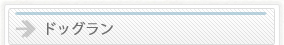 ドッグラン