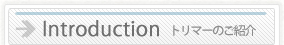 トリマーのご紹介