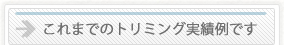これまでのトリミング実績例です。